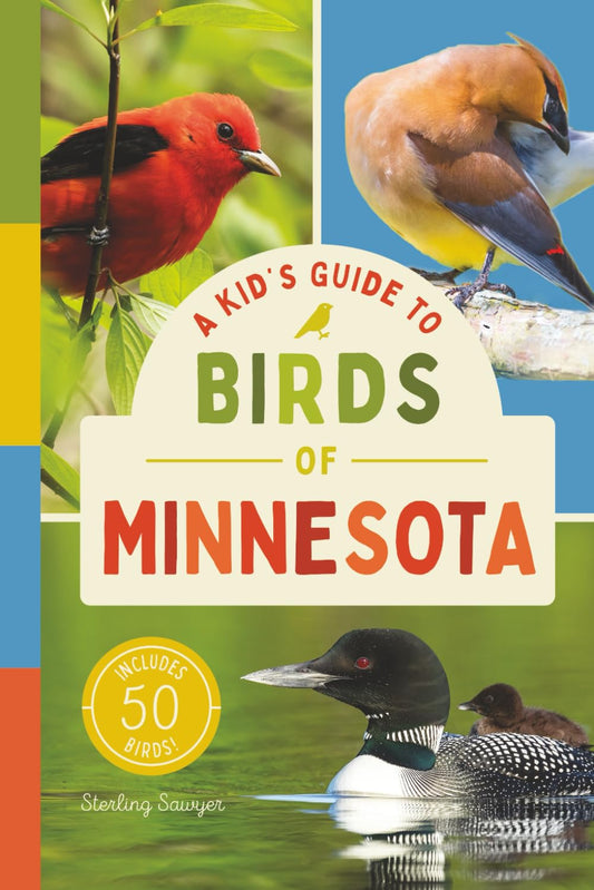 A Kid’s Guide to Birds of Minnesota