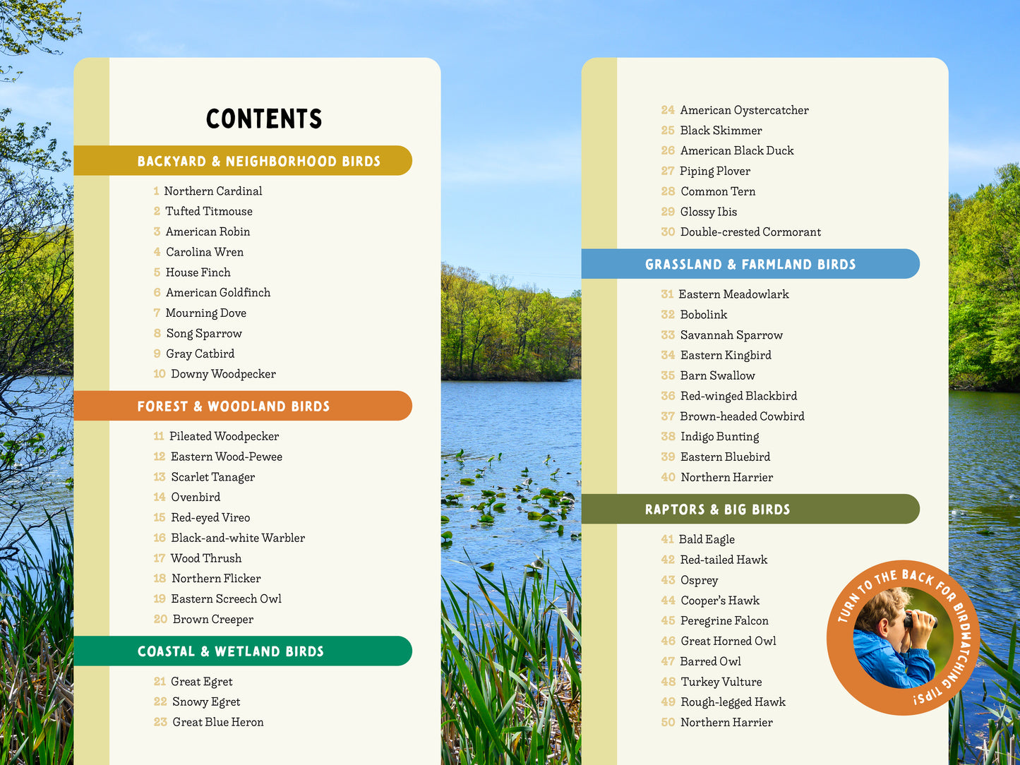 A Kid’s Guide to Birds of New Jersey