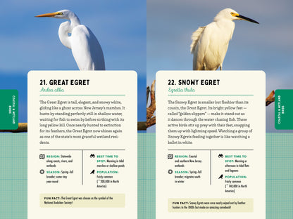 A Kid’s Guide to Birds of New Jersey