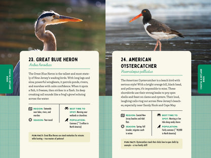 A Kid’s Guide to Birds of New Jersey