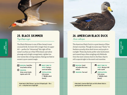 A Kid’s Guide to Birds of New Jersey