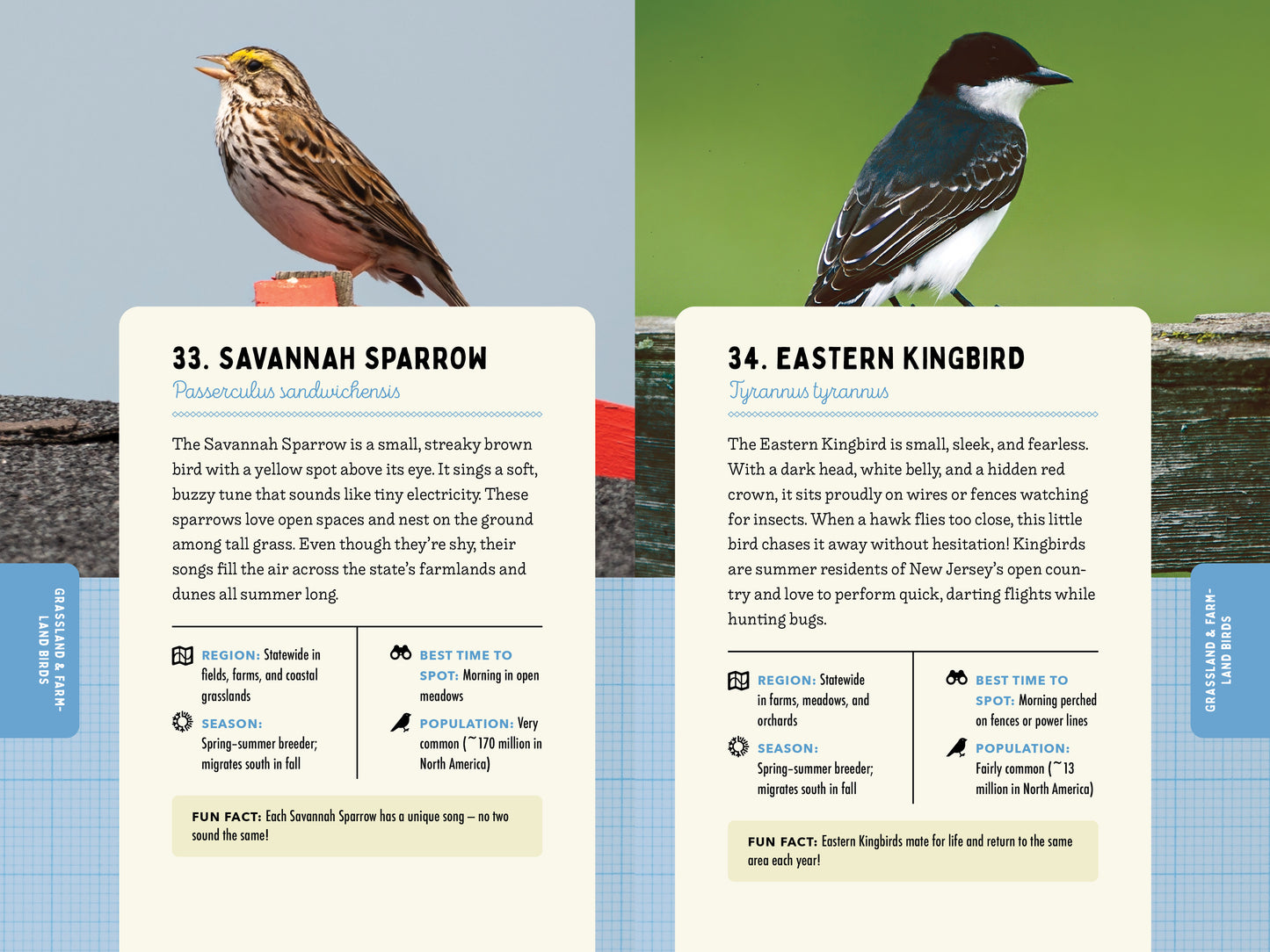 A Kid’s Guide to Birds of New Jersey