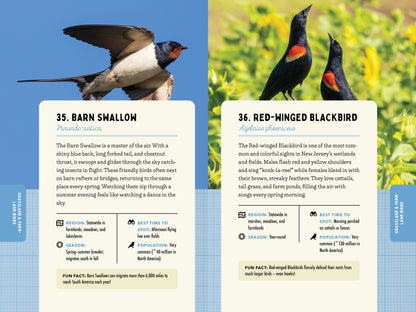 A Kid’s Guide to Birds of New Jersey