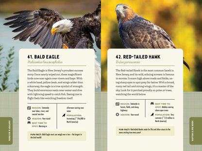 A Kid’s Guide to Birds of New Jersey