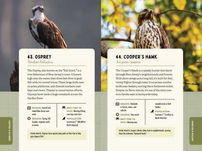 A Kid’s Guide to Birds of New Jersey