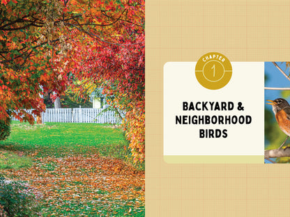 A Kid’s Guide to Birds of New Jersey