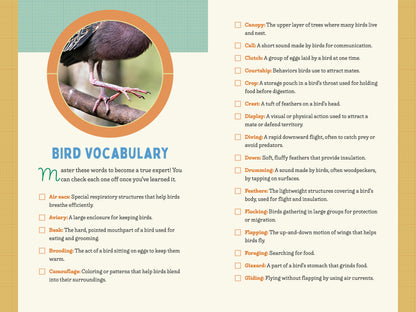 A Kid’s Guide to Birds of New Jersey
