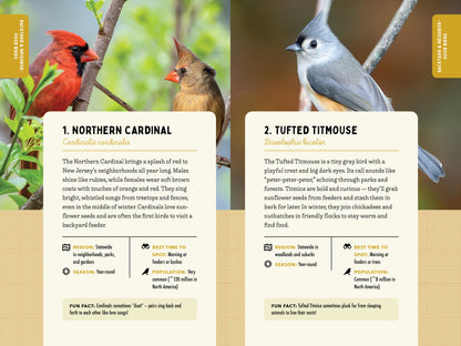 A Kid’s Guide to Birds of New Jersey