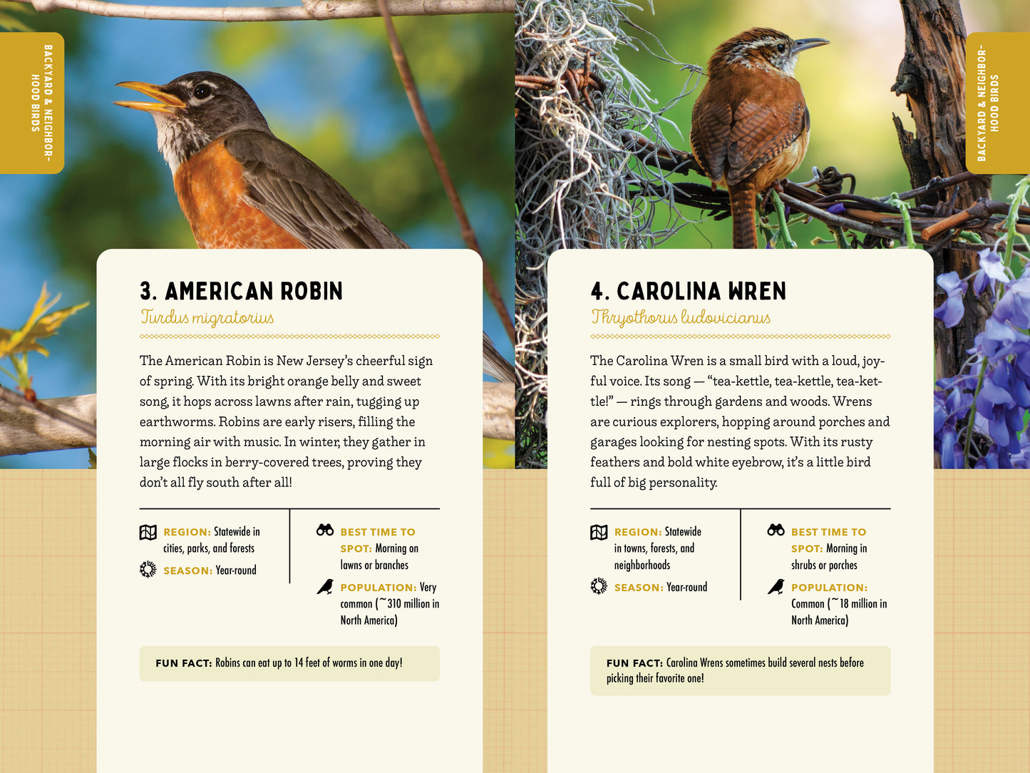 A Kid’s Guide to Birds of New Jersey