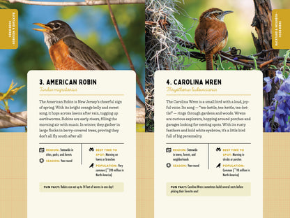 A Kid’s Guide to Birds of New Jersey