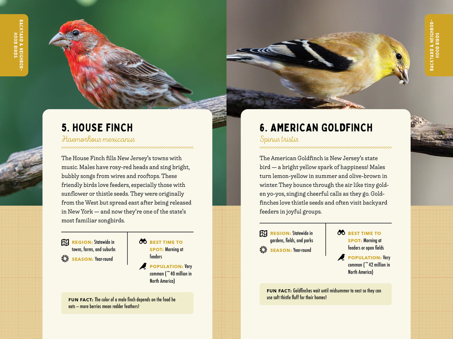A Kid’s Guide to Birds of New Jersey
