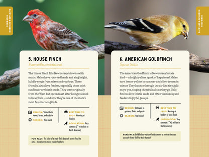 A Kid’s Guide to Birds of New Jersey