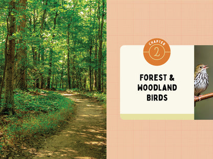 A Kid’s Guide to Birds of New Jersey