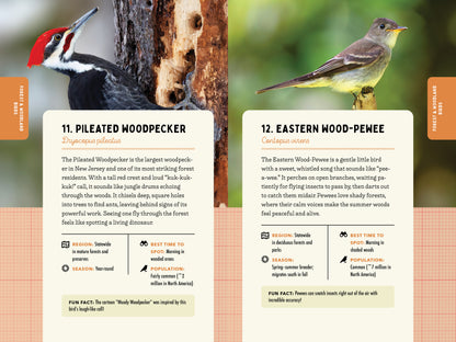 A Kid’s Guide to Birds of New Jersey