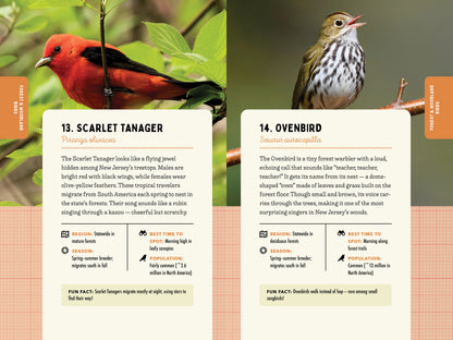 A Kid’s Guide to Birds of New Jersey