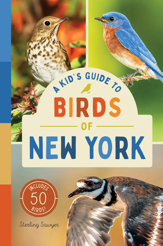 A Kid’s Guide to Birds of New York