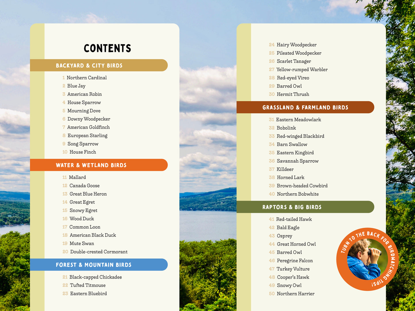 A Kid’s Guide to Birds of New York