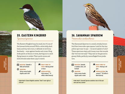 A Kid’s Guide to Birds of New York
