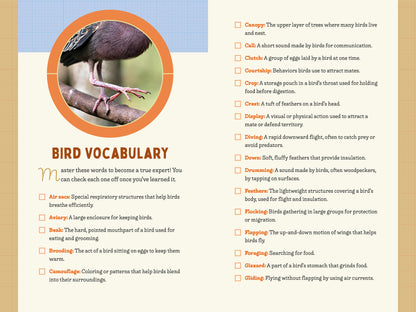A Kid’s Guide to Birds of New York