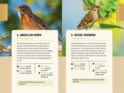 A Kid’s Guide to Birds of New York
