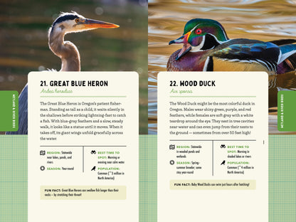 A Kid’s Guide to Birds of Oregon