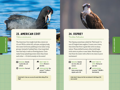 A Kid’s Guide to Birds of Oregon