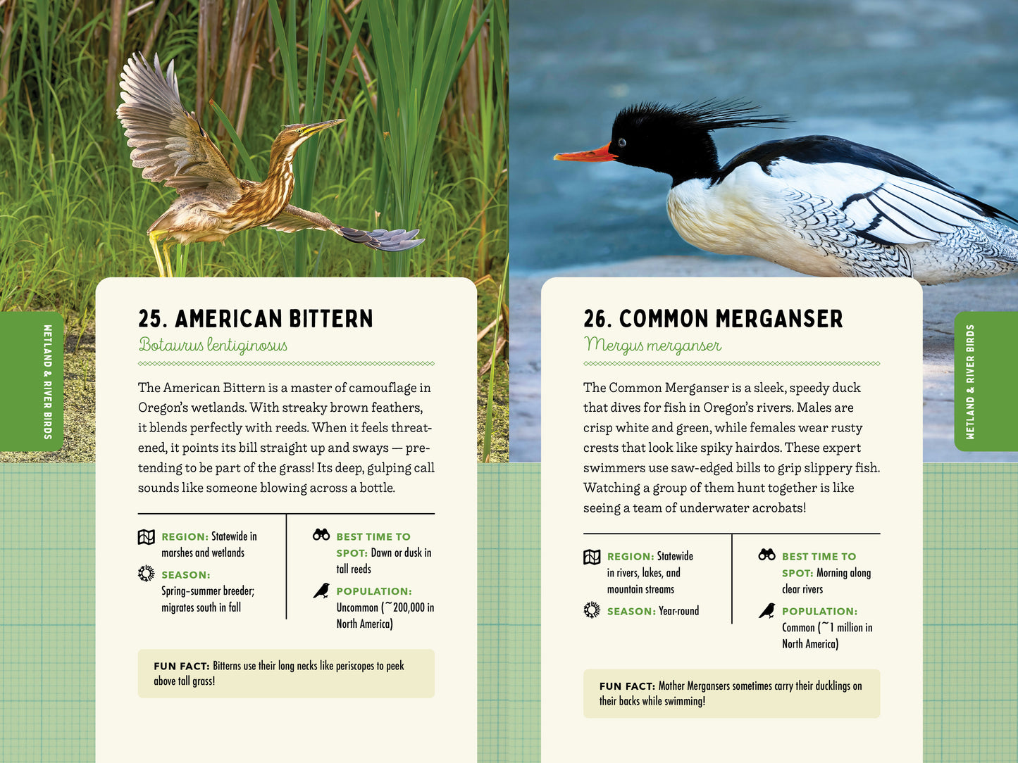 A Kid’s Guide to Birds of Oregon