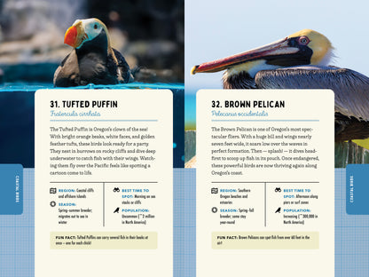 A Kid’s Guide to Birds of Oregon