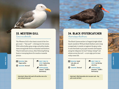 A Kid’s Guide to Birds of Oregon