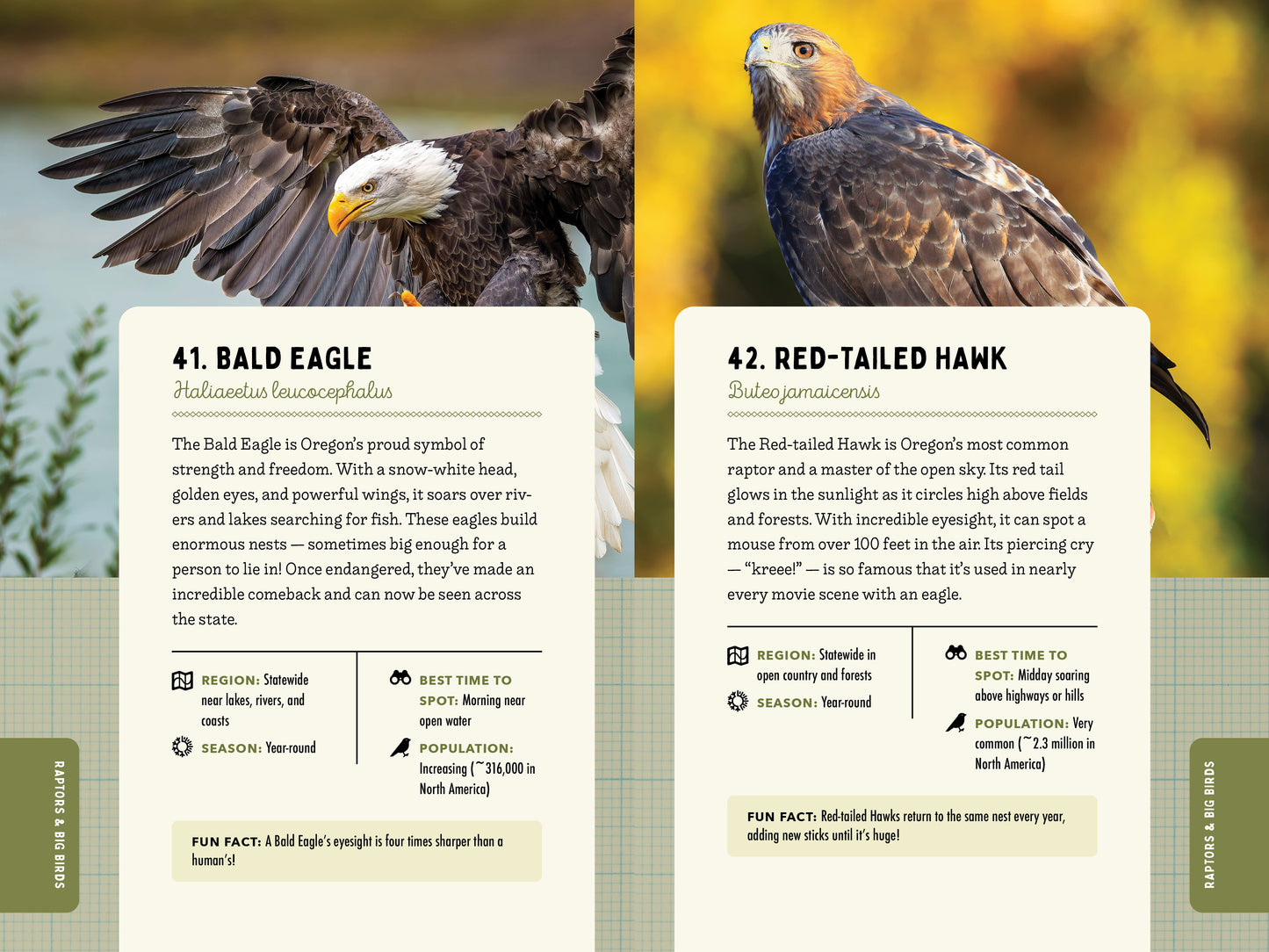 A Kid’s Guide to Birds of Oregon