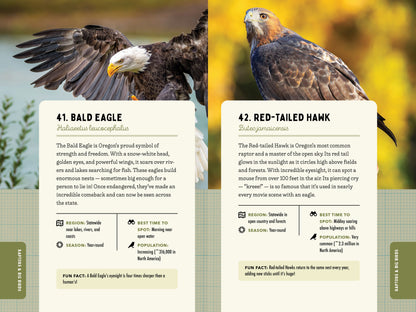 A Kid’s Guide to Birds of Oregon