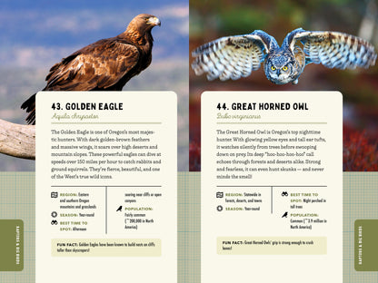 A Kid’s Guide to Birds of Oregon