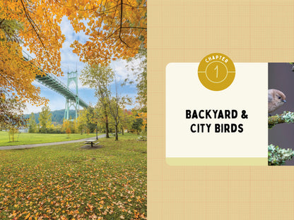 A Kid’s Guide to Birds of Oregon