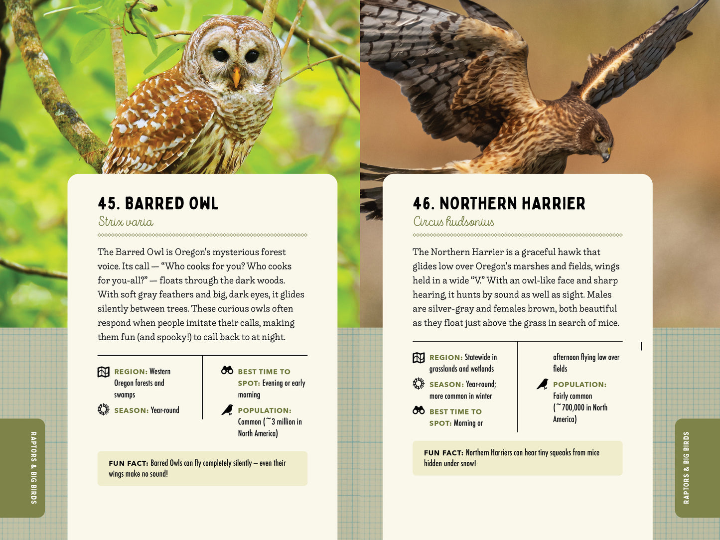 A Kid’s Guide to Birds of Oregon