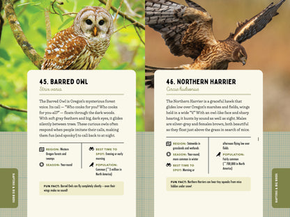 A Kid’s Guide to Birds of Oregon