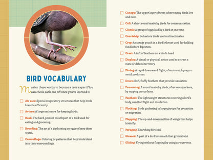 A Kid’s Guide to Birds of Oregon