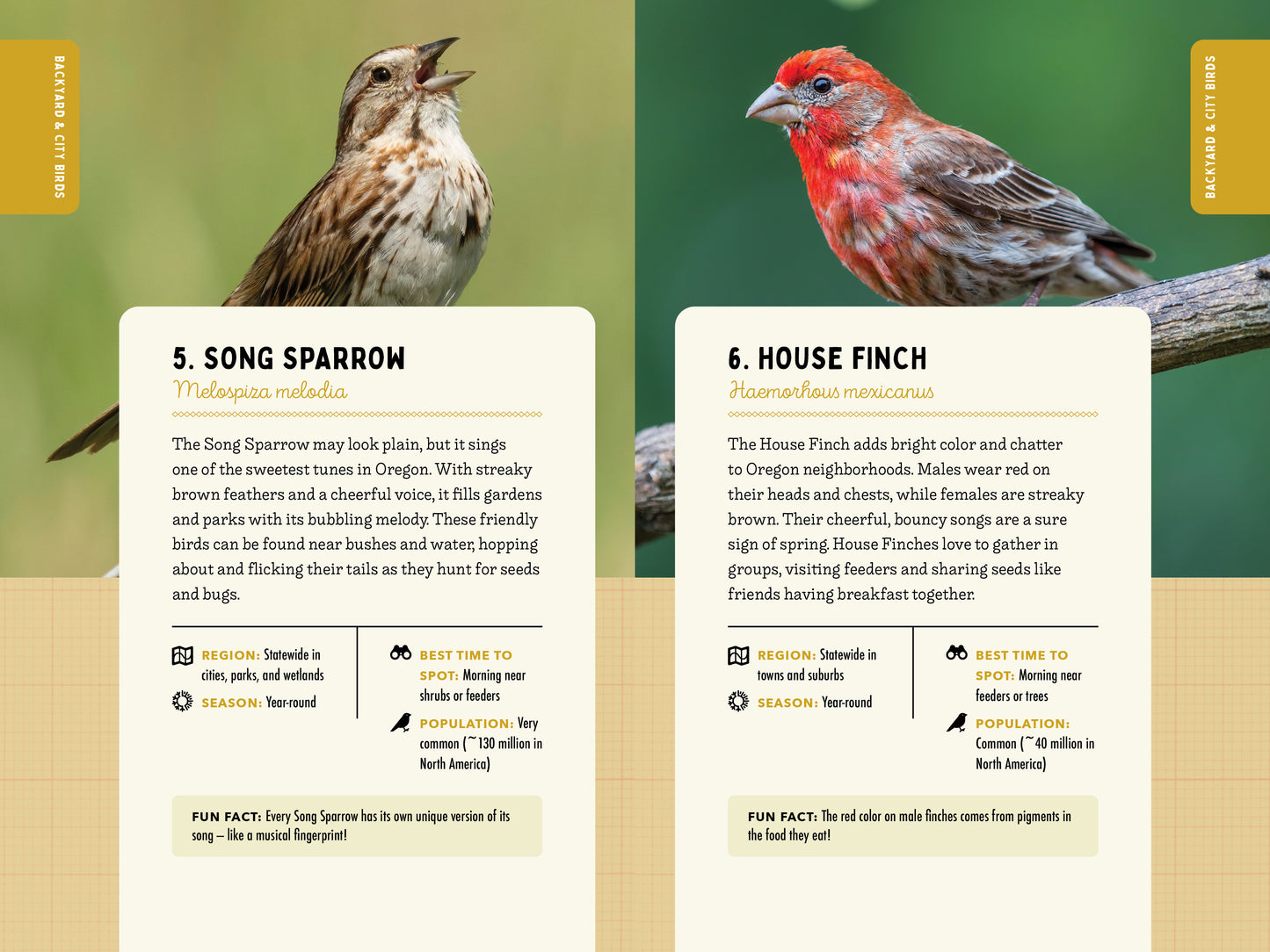 A Kid’s Guide to Birds of Oregon