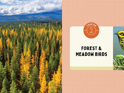 A Kid’s Guide to Birds of Oregon