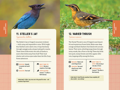 A Kid’s Guide to Birds of Oregon