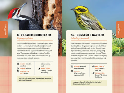 A Kid’s Guide to Birds of Oregon