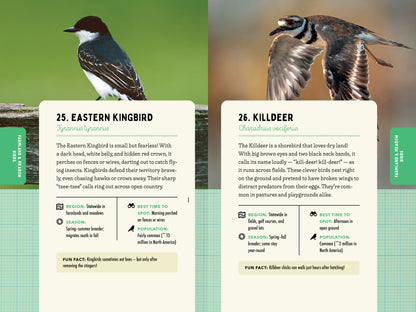 A Kid’s Guide to Birds of Pennsylvania