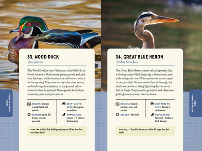 A Kid’s Guide to Birds of Pennsylvania