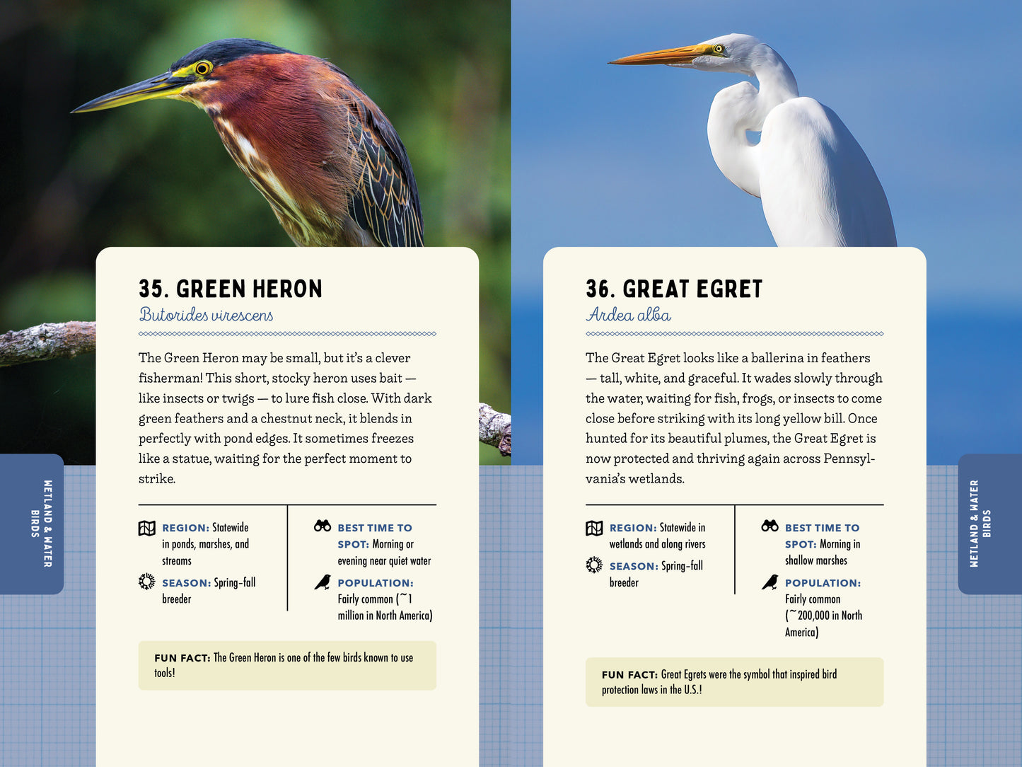A Kid’s Guide to Birds of Pennsylvania