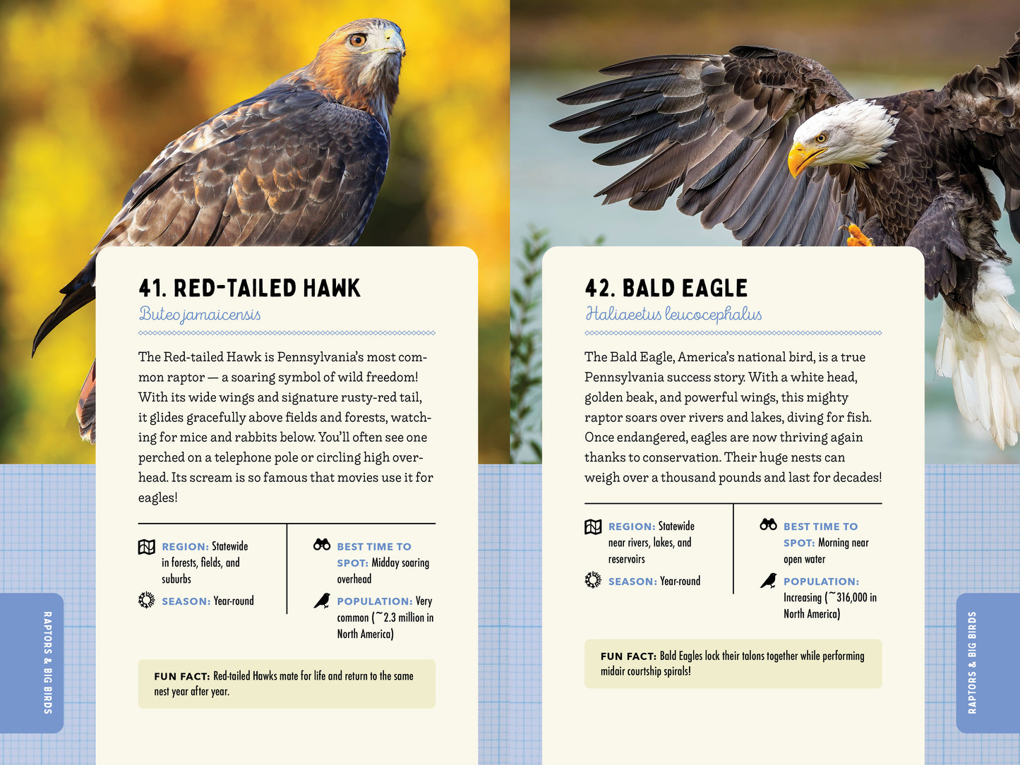 A Kid’s Guide to Birds of Pennsylvania