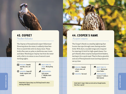 A Kid’s Guide to Birds of Pennsylvania