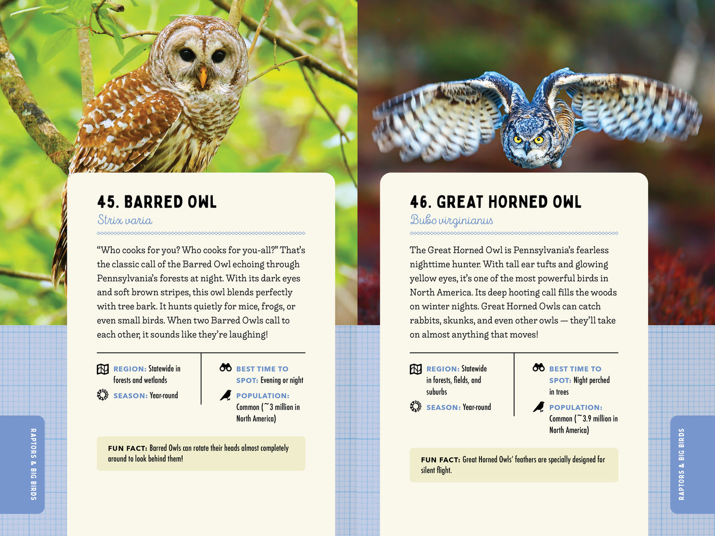 A Kid’s Guide to Birds of Pennsylvania