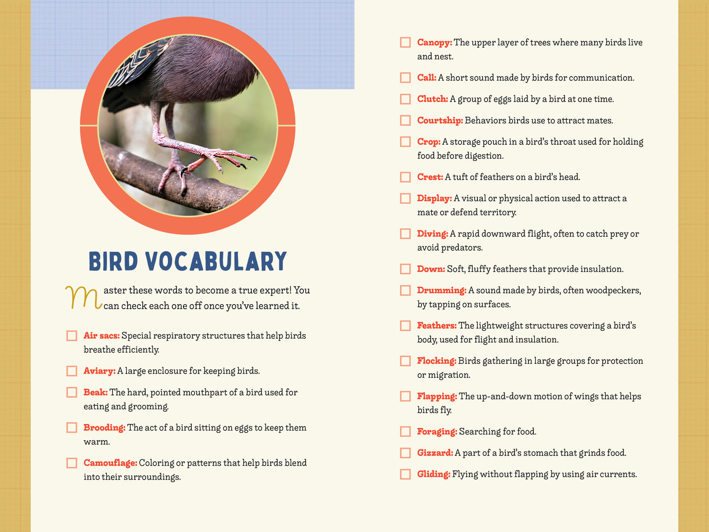 A Kid’s Guide to Birds of Pennsylvania