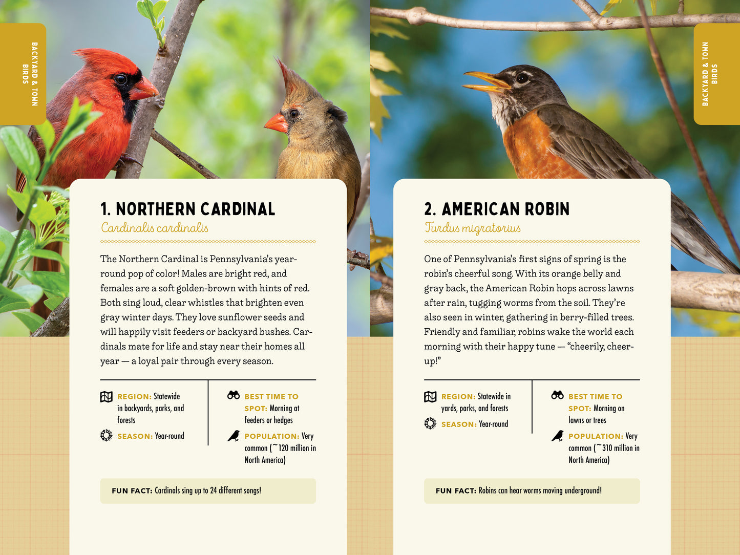 A Kid’s Guide to Birds of Pennsylvania