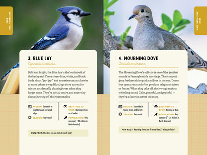 A Kid’s Guide to Birds of Pennsylvania