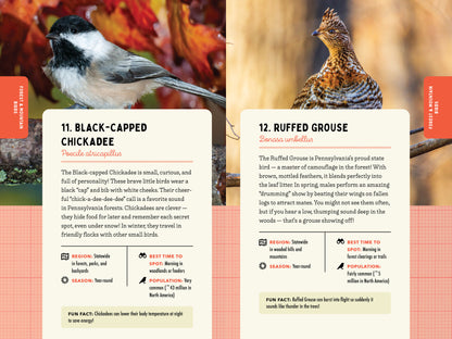 A Kid’s Guide to Birds of Pennsylvania